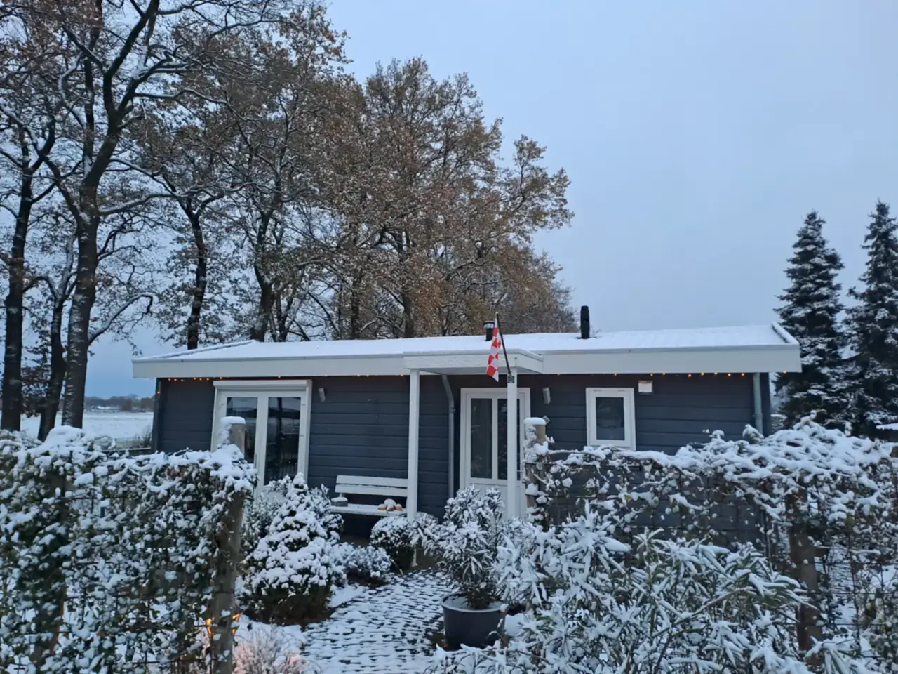 Het chalet van B&B Sterrenhemel in de sneeuw, met besneeuwde tuin en bomen