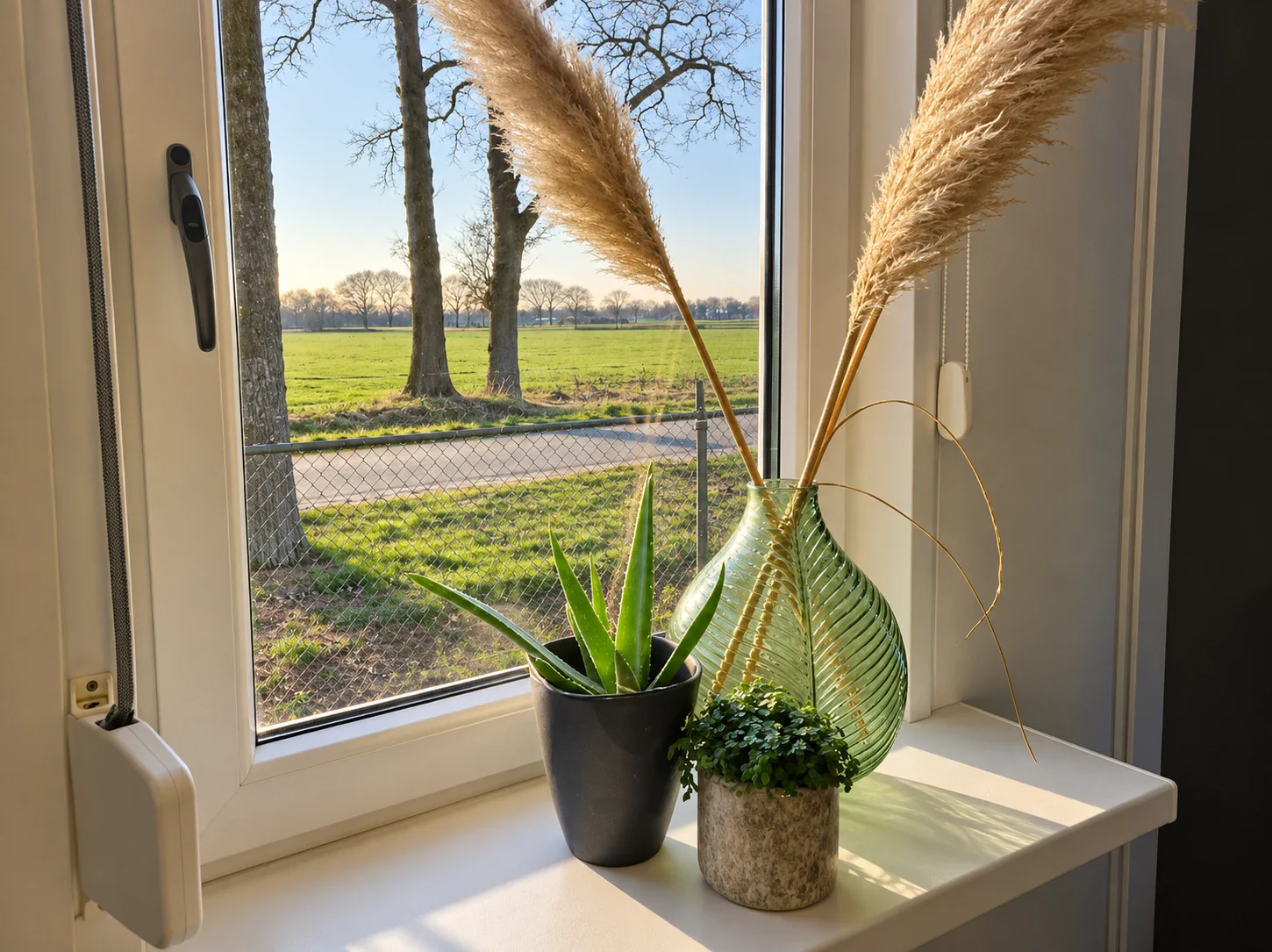 Vensterbank met planten en pampasgras, met door het raam uitzicht op de weilanden en bomen